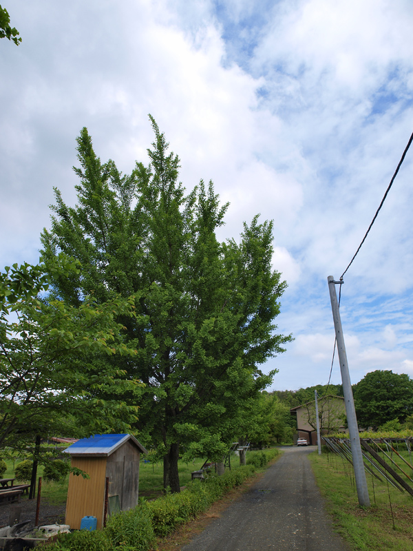 b0135347_22142034.jpg
