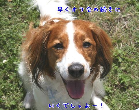 d0013149_9223959.jpg