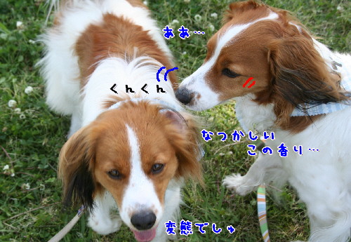 d0013149_9421585.jpg