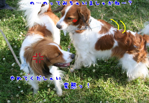 d0013149_9423351.jpg