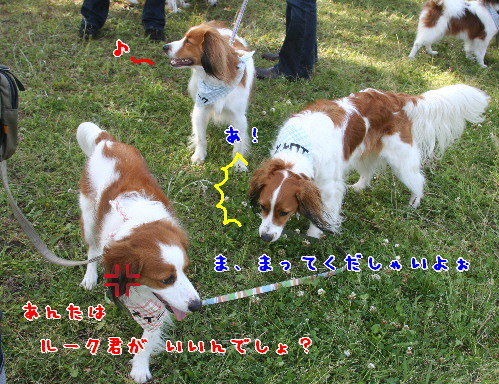 d0013149_943491.jpg