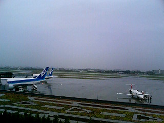 a0004752_936563.jpg