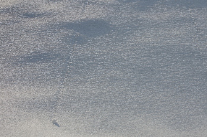 e0100152_22412797.jpg