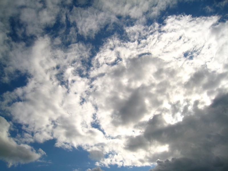 f0176953_1737588.jpg