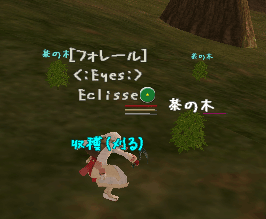c0142956_0302582.gif