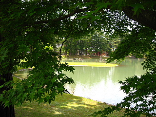 a0021558_20414929.jpg