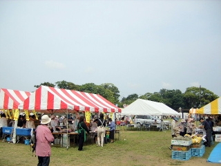f0043559_185212.jpg