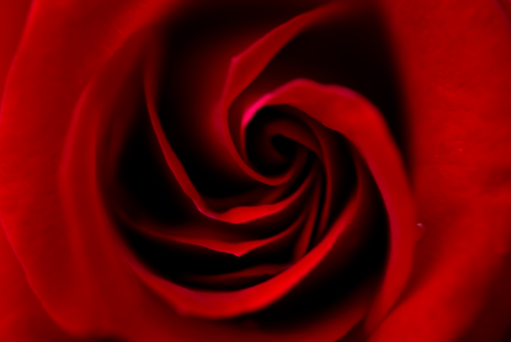 d0124465_10101177.jpg