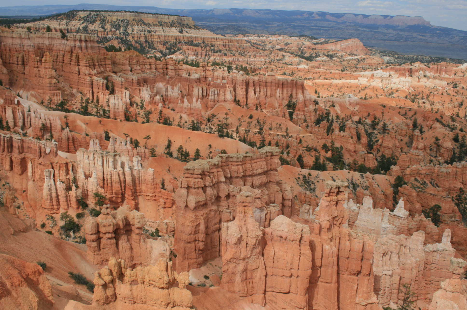 c0115366_550260.jpg