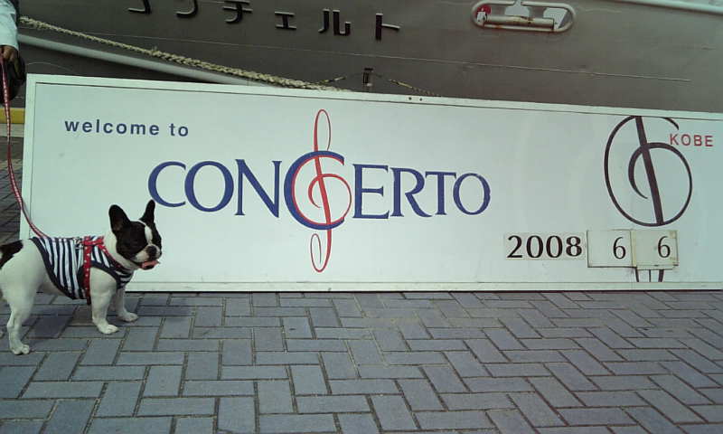 b0130273_0102576.jpg