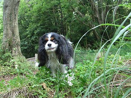 f0030875_22355554.jpg
