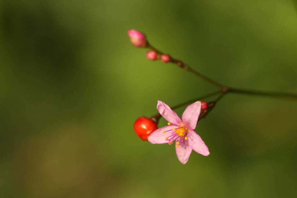 e0003177_141539100.jpg