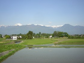 a0034487_1716219.jpg
