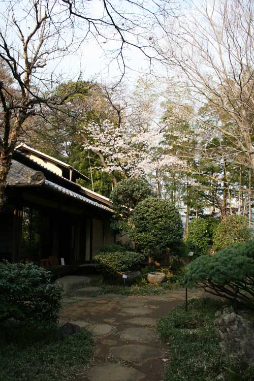 d0016587_1252250.jpg