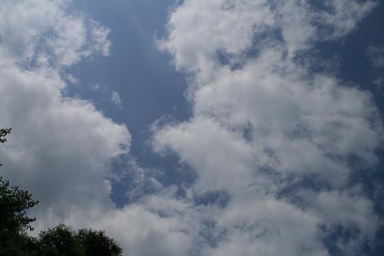 e0100589_1247798.jpg