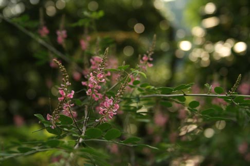 e0100589_12482320.jpg