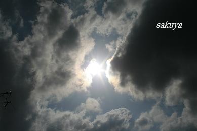 e0122194_2050135.jpg