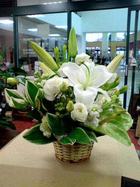 c0131195_182119.jpg