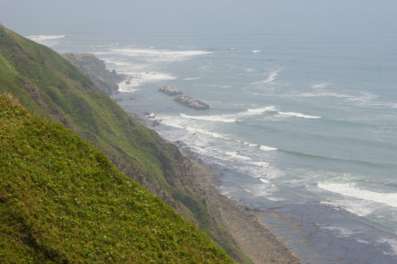d0124100_1692292.jpg