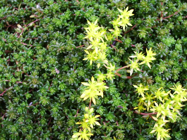 e0025300_15102334.jpg