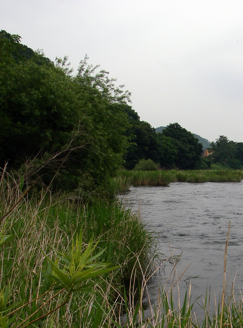 c0095801_1161283.jpg