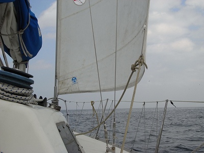 f0157901_21175381.jpg
