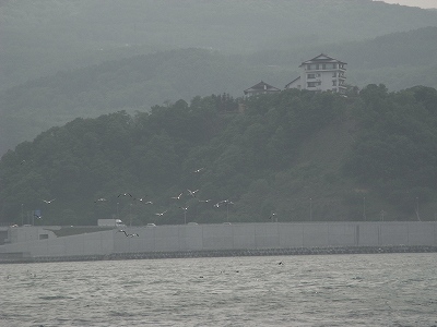 f0157901_2122399.jpg