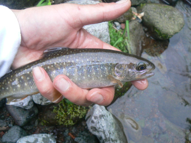 f0164503_22113039.jpg