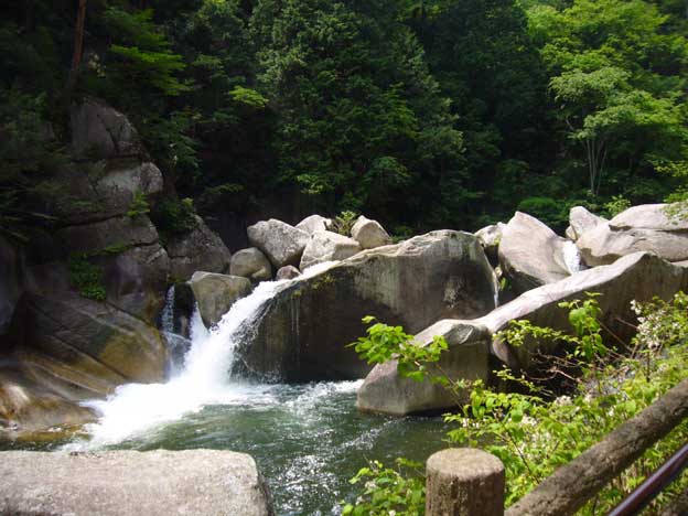 e0018604_10125044.jpg