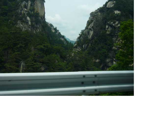 e0018604_1021623.jpg