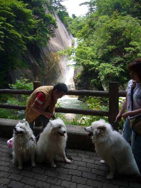 e0018604_1093431.jpg