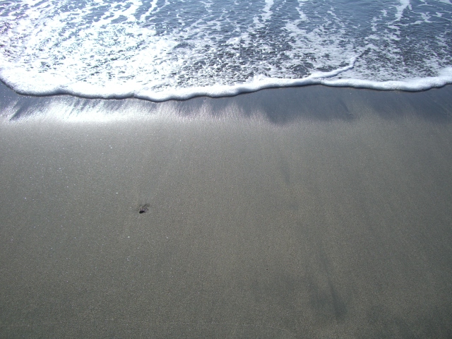 b0143709_2146835.jpg