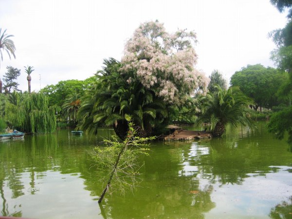 b0064411_5212152.jpg