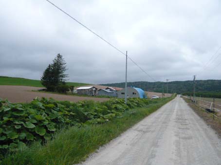 e0118011_155440.jpg