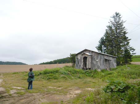 e0118011_17127.jpg