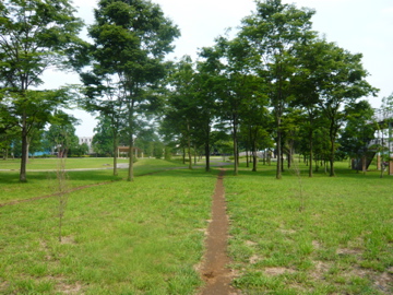 d0116913_0545071.jpg