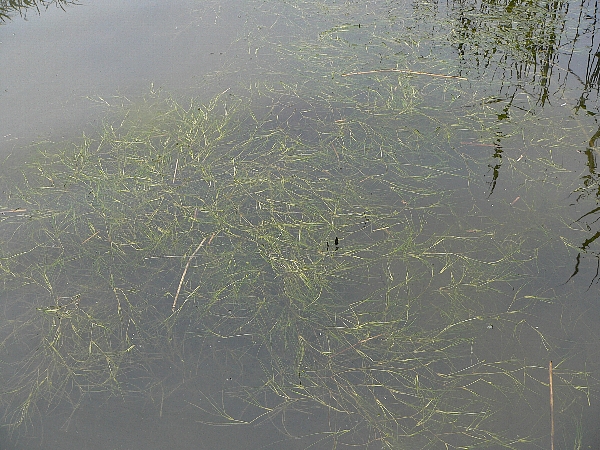 e0002314_20352071.jpg