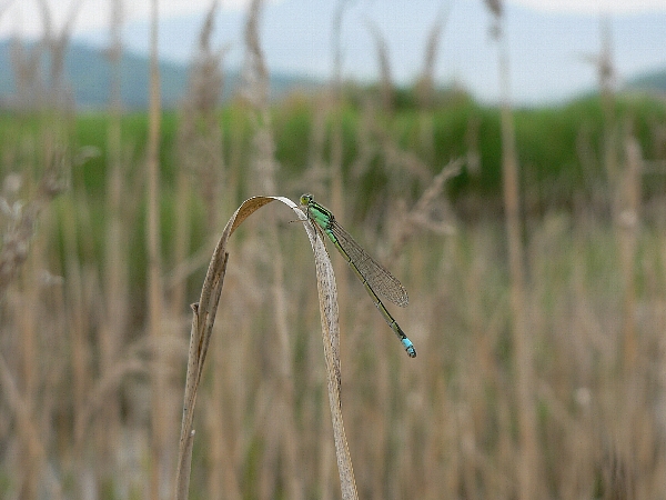 e0002314_20363295.jpg