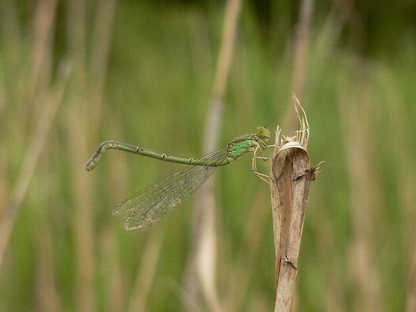 e0002314_20381962.jpg