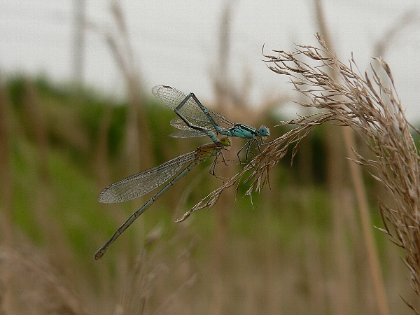 e0002314_20383644.jpg