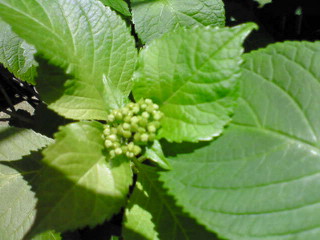 a0073915_1355160.jpg