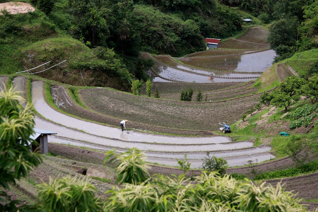 d0085715_216712.jpg