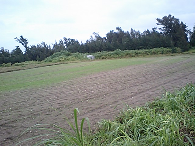 b0089616_17133299.jpg