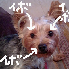 c0036617_2150590.jpg