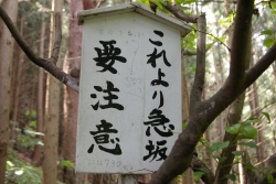 f0065126_1126545.jpg