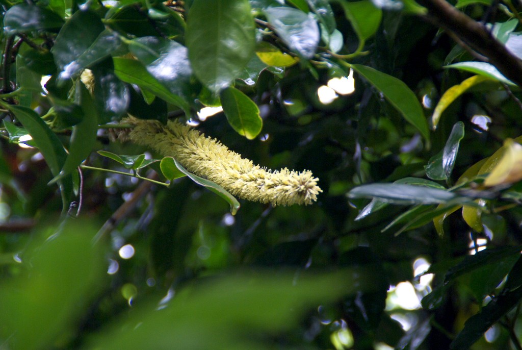 d0053930_623451.jpg
