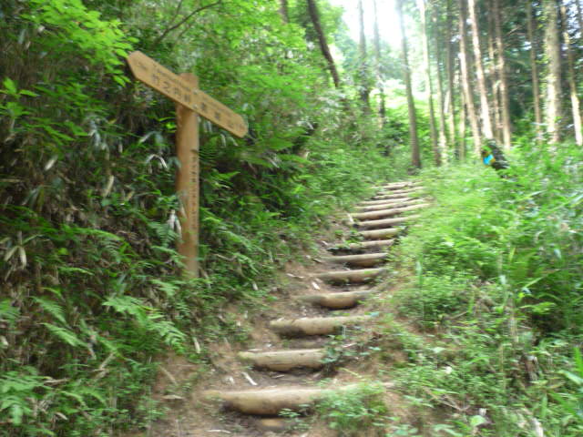 b0136931_19402743.jpg