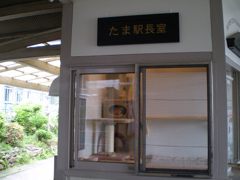 d0046531_1623243.jpg