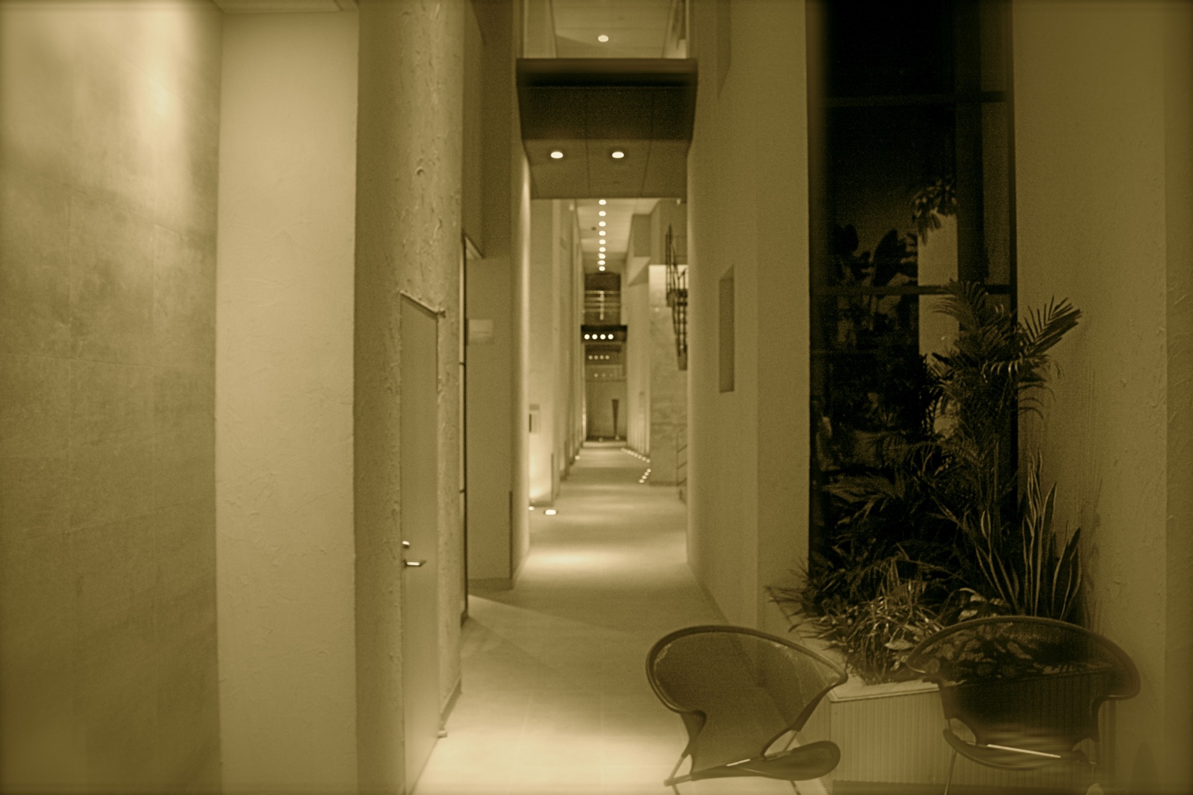 a0072337_23514220.jpg