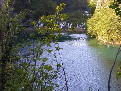 c0051938_9175527.jpg